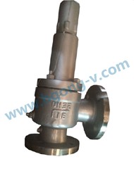 API/DIN stainless steel spring high pressure safety valve